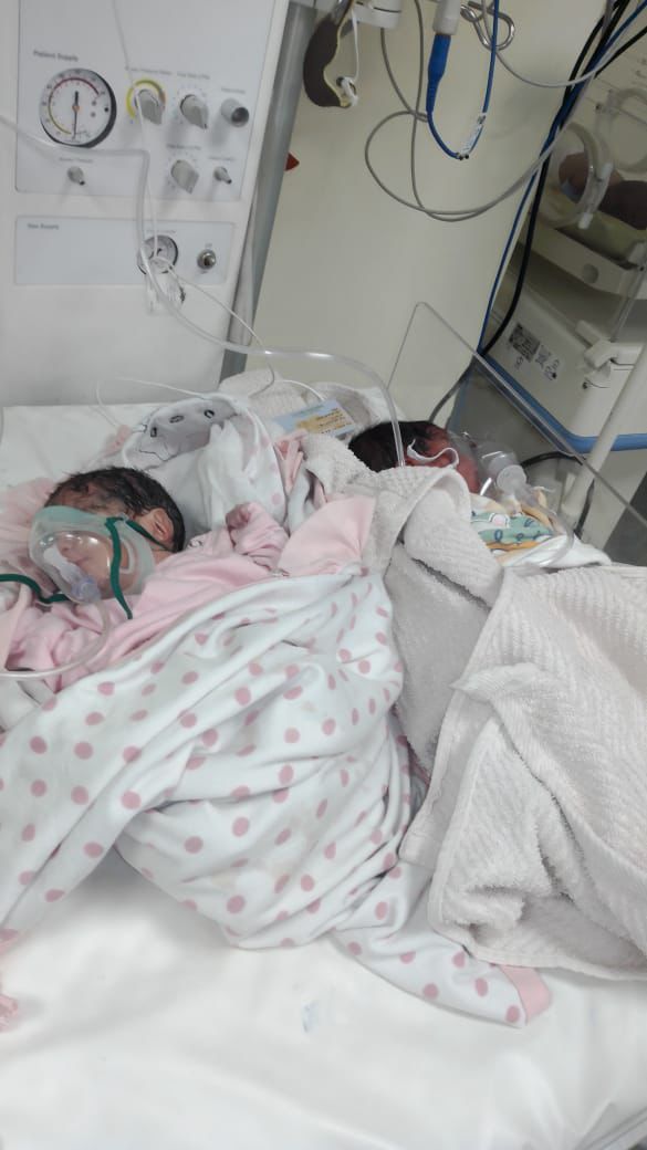 cd3aac4966.jpg