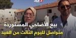 لليوم الثالث من عيد الأضحى المبارك.. استمرار بيع الأضاحي المستوردة عبر نقاط البيع بـ #سطيف -  أقرأ 24