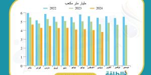 معضلة الغاز في مصر.. تحديات الصيف وفرص الإنقاذ (مقال 2) - اقرأ 24