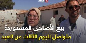 لليوم الثالث من عيد الأضحى المبارك.. استمرار بيع الأضاحي المستوردة عبر نقاط البيع بـ #سطيف -  أقرأ 24