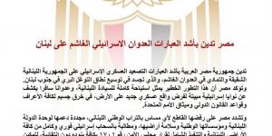 مصر تدين بأشد العبارات العدوان الإسرائيلي الغاشم على لبنان - أقرأ 24