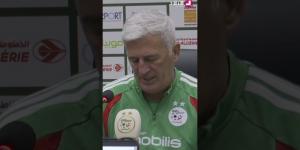 بيتكوفيتش : باشرنا المحادثات مع الفاف من أجل تجديد عقدي مع المنتخب الوطني و الأمور في الطريق الصحيح -  أقرأ 24