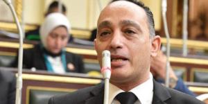 النائب فريدي البياضي لـ " تحيا مصر": مسارحديثي الولادة خطوة إيجابية ونطالب بـ ضمان تطبيقه فعليًا في كل المحافظات -  أقرأ 24