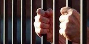 كشف ملابسات فيديو ادعاء سيدة التعدي على والدها بأسلحة بيضاء بالغربية - أقرأ 24