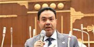 طاقة الشيوخ تبحث مقترح الشرقاوي بشأن مراجعة آلية محاسبة العدادات الكودية الأسبوع المقبل -  أقرأ 24