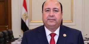 نائب: اجتماع الفصائل بالقاهرة يعكس دور مصر في تعزيز فرص التهدئة بغزة - أقرأ 24