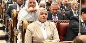 أمين سر طاقة الشيوخ: سداد مستحقات شركاء البترول نقطة تحول تاريخية لدعم الاستثمار وزيادة الإنتاج - أقرأ 24