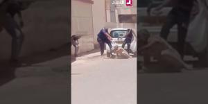 " ضربو السيد وداولو الدراهم " .. توقيف 4 أشخاص اعتدوا على مواطن وسلبوه مبلغا ماليا بـ #ورقلة -  أقرأ 24