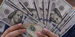 سعر الدولار مقابل الجنيه فى البنوك اليوم الأربعاء - أقرأ 24