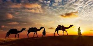 أحمد الطلحي: هجرة النبي كانت من أجل إقامة الدين وليس بحثًا عن لقمة العيش - أقرأ 24