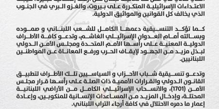 التنسيقية تطالب المجتمع الدولي بالتدخل لإيقاف الحرب ورفع المعاناة عن الشعب اللبناني - اقرأ 24