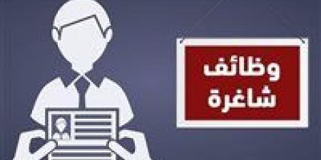 وزارة العمل تعلن عن وظائف بمدينتي 6 أكتوبر والعبور برواتب مجزية -  أقرأ 24