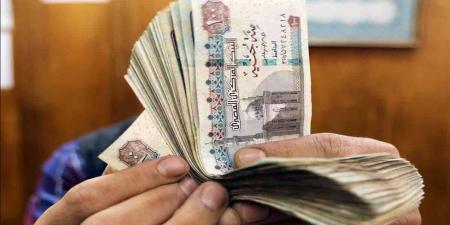 قروض الشباب.. أداة لدعم ريادة الأعمال وتحقيق الاستقلال المالي - أقرأ 24