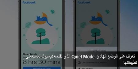 تعرف على الوضع الهادئ Quiet Mode الذي تقدمه فيسبوك لمستعملي تطبيقاتها