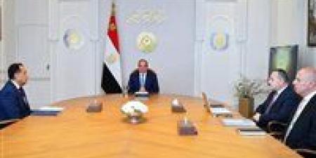 عاجل.. الرئيس السيسي يجتمع مع رئيس الوزراء ووزير التعليم العالي - أقرأ 24