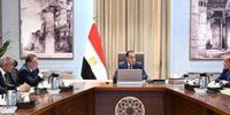 رئيس الوزراء يجتمع مع محافظ البنك المركزي ووزير المالية لاستعراض عددٍ من الملفات -  أقرأ 24