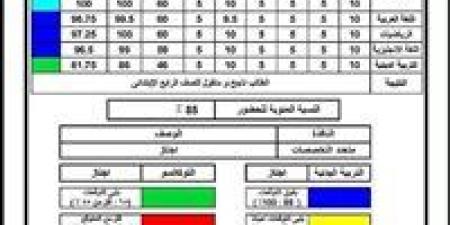 نتيجة الصف الثالث الابتدائي محافظة الجيزة فور اعتمادها من هنا 2026 -  أقرأ 24
