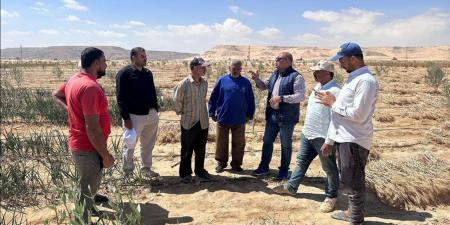 "الزراعة" تنشر أبرز الجهود الإرشادية والخدمية والميدانية لمركز بحوث الصحراء خلال مايو - أقرأ 24