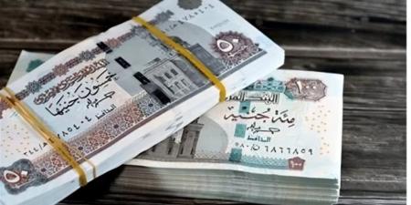 هل يحق للمطلقة الحصول على معاش زوجها المتوفى؟.. القانون يوضح الحالات - أقرأ 24