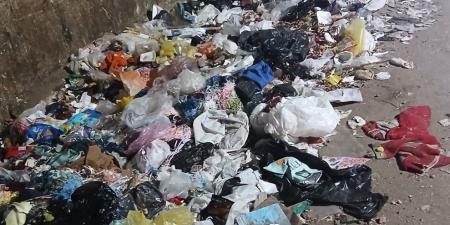 القمامة تحاصر شوارع الدقهلية وتزاحم أرغفة الخبز - أقرأ 24