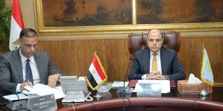 زفتى على بعد خطوات من إعلان اكتمال المرحلة الأولى للمبادرة الرئاسية "حياة كريمة" - أقرأ 24