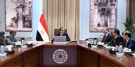 مدبولي: نستهدف رفع مساهمة الطاقة المتجددة بمصر إلى 45 % بحلول 2028 - أقرأ 24