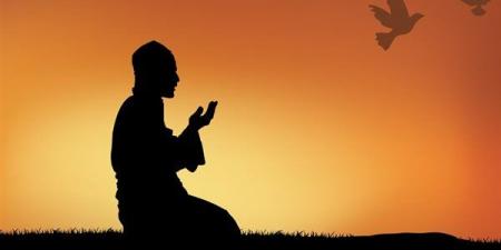 ما هي أسباب عدم الاستجابة للدعاء؟ - أقرأ 24