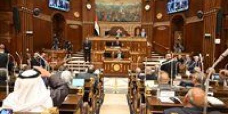 الاثنين المقبل.. مجلس الشيوخ يناقش مشروع قانون خطة التنمية الاقتصادية والاجتماعية للعام المالي 2026/2027 -  أقرأ 24