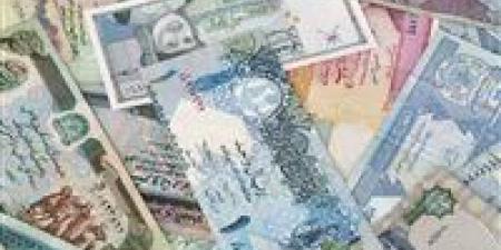 3 ملايين جنيه في قضايا عملة.. ضربات أمنية ضد تجار السوق السوداء للنقد الأجنبي - أقرأ 24