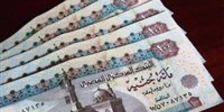 نسبة زيادة المعاشات السنوية وأول موعد للتطبيق -  أقرأ 24
