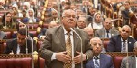 النائب ناجي الشهابي لـ " تحيا مصر": مصلحة الطفل أولًا.. وأرفض تحويل قانون الأسرة لـ ساحة عقوبات بين الأبوين -  أقرأ 24