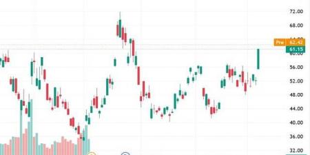صندوق DUST يواصل الصعود بدعم من تراجع أسعار الذهب - أقرأ 24