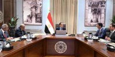 رئيس الوزراء يكلف بعرض الصورة النهائية لمبادرة تشجيع تركيب الواح الطاقة الشمسية بالمصانع والمنازل -  أقرأ 24