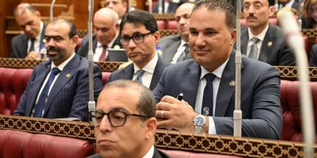 تامر عبد الحميد: الرقابة وقياس أثر الإنفاق وإعادة هيكلة الجهاز الحكومي ركائز الإدارة الرشيدة - أقرأ 24