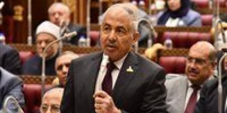 أحمد العوضي: نجاح خطة التنمية مرهون بتمكين القطاع الخاص ورفع مساهمته إلى 59% -  أقرأ 24
