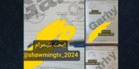 تداول امتحانات الشهادة الإعدادية على تليجرام اليوم بعد بدء اللجان.. والتعليم تتابع -  أقرأ 24