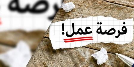 عاجل.. قدم الآن وظائف جديدة بمرتبات تصل إلى 14500 جنيه.. فرص عمل متنوعة للشباب - أقرأ 24