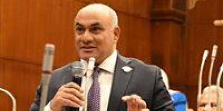 النائب شعبان رأفت: مصر مؤهلة لجذب استثمارات أكبر.. ونطالب بتمكين القطاع الخاص وفتح أسواق جديدة للعمالة المصرية بالخارج - أقرأ 24