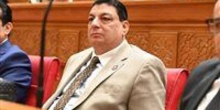 سامي نصرالله: تأكيد الرئيس السيسي دعم وحدة السودان يجسد الدور المصري المحوري في حماية أمن واستقرار المنطقة -  أقرأ 24