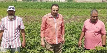 متابعة ميدانية لأعمال إطلاق طفيل الترايكوجراما بمركز ببا لدعم الزراعات الصيفية ببني سويف - أقرأ 24