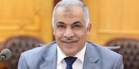 نائب رئيس جامعة الأزهر: نجاح الكيان الأسري يبدأ بحسن الاختيار بين الزوجين - أقرأ 24