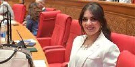 النائبة إسراء الحسيني: مصلحة الطفل يجب أن تكون الأولوية الأولى في تعديلات قانون الأسرة والأحوال الشخصية - أقرأ 24
