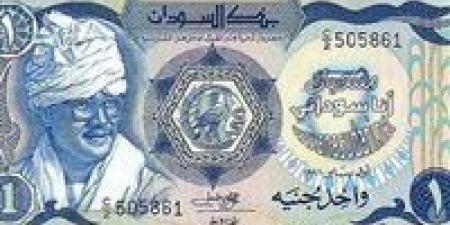 الجنيه السوداني يتحرك من جديد.. آخر مستجدات سعر الصرف الآن -  أقرأ 24
