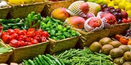 صادرات مصر الزراعية تتجاوز 5 ملايين طن خلال العام الجاري - أقرأ 24