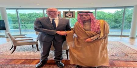 لقاء سعودي ألماني لبحث التطورات الإقليمية والدولية - أقرأ 24
