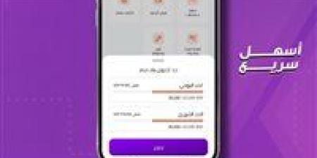 تطبيق إنستاباي 2026.. تحديثات جديدة للرسوم وحدود التحويلات - أقرأ 24