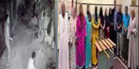 ضبط 12 شخصا بسبب التشاجر بالشوم في دمنهور -  أقرأ 24