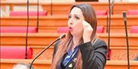 البرلمان يناقش شكاوى المواطنين من زيادة تكلفة الكهرباء للعدادات الكودية بعد طلب  إحاطة نشوى الشريف -  أقرأ 24