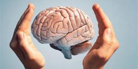 أخصائي نفسي يوضح 5 عادات يومية للحفاظ على نشاط الذهن والحد من التراجع المعرفي (خاص) - أقرأ 24