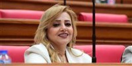 طلب إحاطة للنائبة هبه غالي بشأن خطة الحكومة لحل أزمة أصحاب العدادات الكودية - أقرأ 24